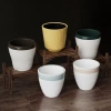 Wholesale of thickened melamine hotel cups, commercial and restaurant tea cups, anti-drop plastic high-temperature resistant water cups details Picture